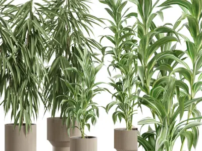 Indoor Plants Pack 88 3D model