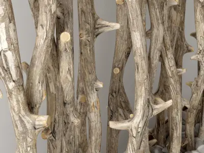 Branch old tree fundament pebble n1 3D model