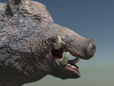 Wild Boar Low-poly Low-poly 3D model