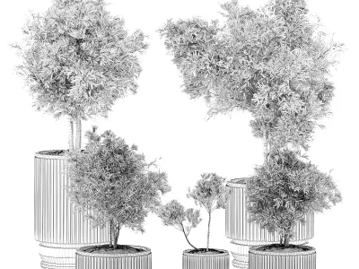 indoor plants 22 3D model