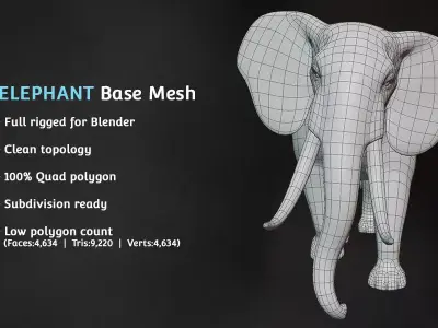Elephant Base Mesh Low-poly 3D model purchase