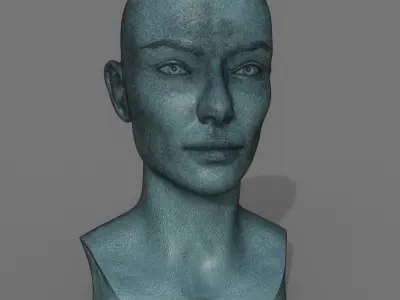 Woman Head Print Ready 3D model