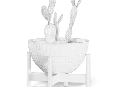 Cactus 3D Model in Brown Pot 3D model