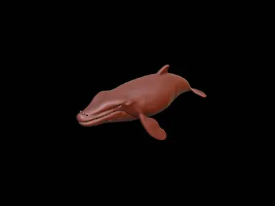 Whale Animal Sculpture 3D print model