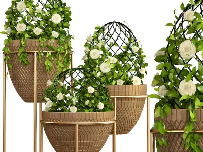 Indoor plants 002 3D model