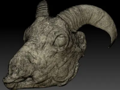 Skinned Sheeps Head High Detail Scan With Texture 3D model