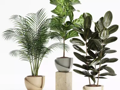 Indoor Plant Set 18 3D model