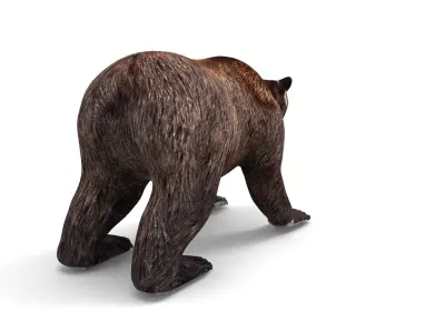 Bear Rigged 3D Models game ready low poly model Low-poly 3D model