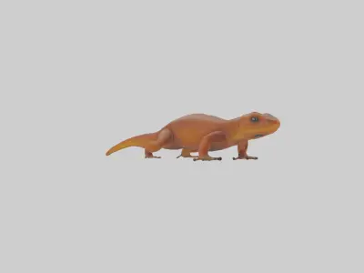 Eastern Newt crawling model Low-poly 3D model