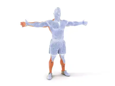 Athletic Male Figure Model Pack with Detailed Anatomy Low-poly 3D model