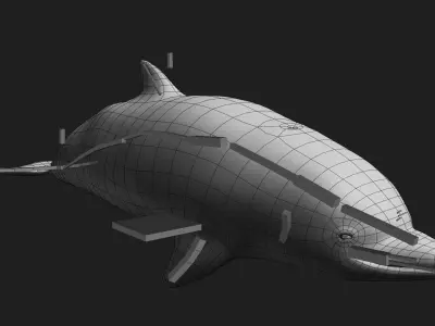 Dolphin Low-poly 3D model