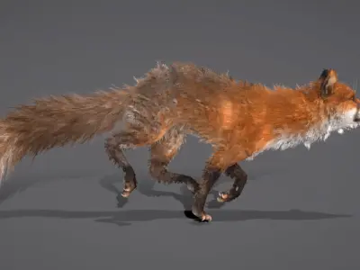 Red Fox 3D model purchase