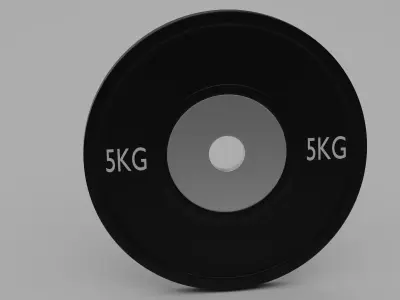 Simple Gym Weight Free 3D model