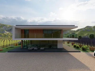 Agriculture landscape model Grapevine design  Low-poly 3D model