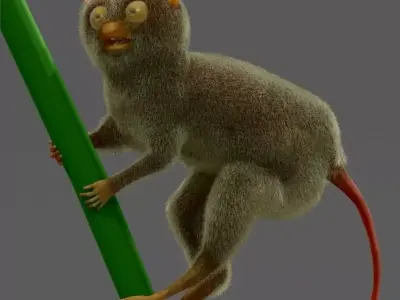 Philippine tarsier 3D model