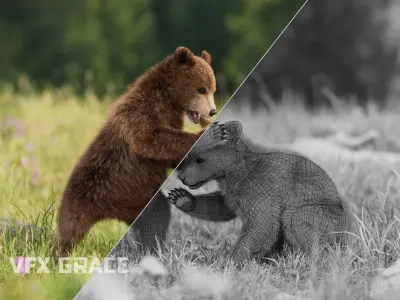 Brown Bear Young VFX Grace 3D model