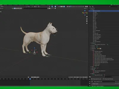 Dogo Argentino Dog Low-poly 3D model