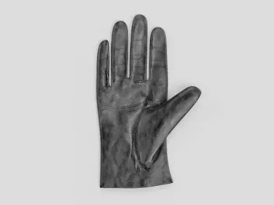 -Leather Gloves - Women- 3D model