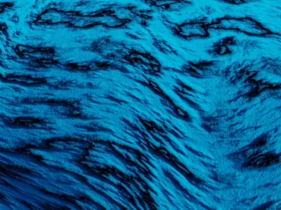 Oyster Shell 3D model