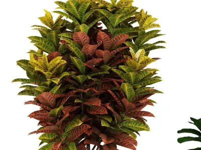 Set 3 Indoor Planters 01 3D model