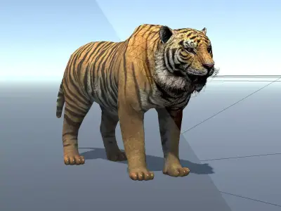 Lowpoly Tiger Rigged and Animated for VR AR Games Low-poly 3D model
