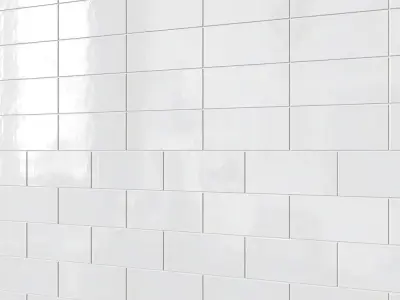 Barbados 5 x 10 Ceramic Field Tile 3D model