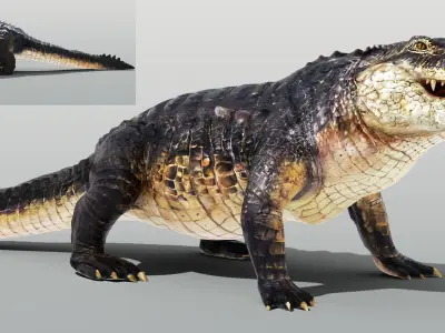 Realistic Crocodile Rigged Low-poly 3D model