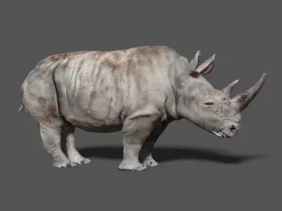 RHINOCEROS Low-poly 3D model