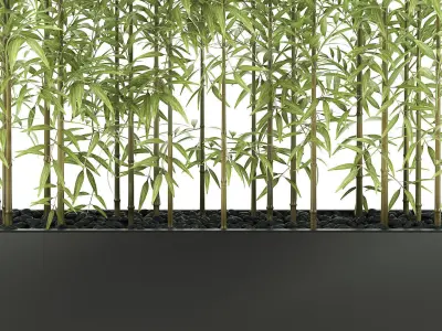 bamboo plant 3D model