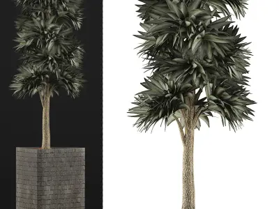 Plants Collection 113 3D model