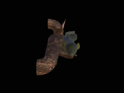 EEL UNDERWATER STATUE ON THE WALL DETAILED TEXTURE 3D print model