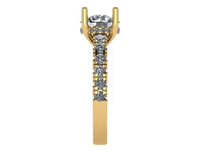 Round shape ring with hidden halo and pave on shank 3D print model