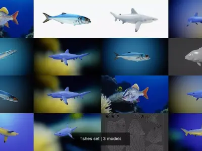 fishes set 3D Model Collection