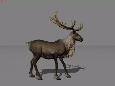 Rain Deers Animal Low-poly 3D model