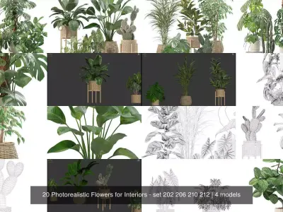 20 Photorealistic Flowers for Interiors - set 202 206 210 212 3D Model Collection