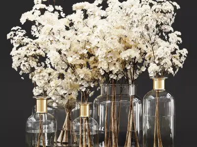 Collection Indoor Plants 014 3D model