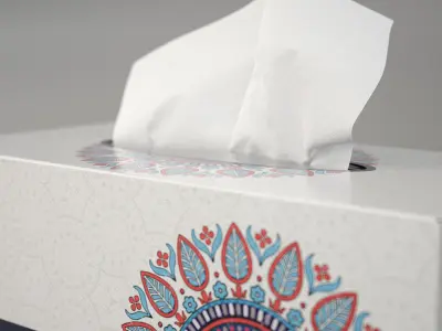 Tissue Box 3D model