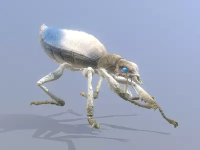 BEETLE Bug Digging Fbx Png 3D model