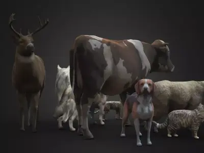 Animal Pack  Low-poly 3D model
