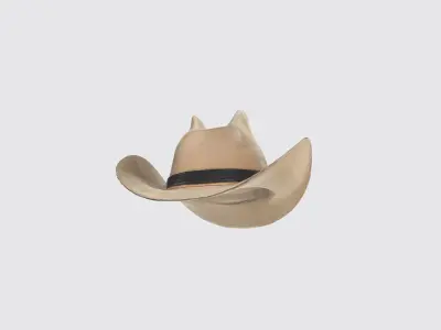 A beige cowboy hat  3D model