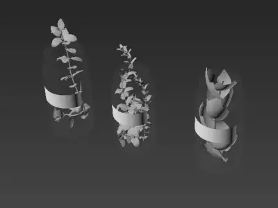 interior plants in bottle Free 3D model