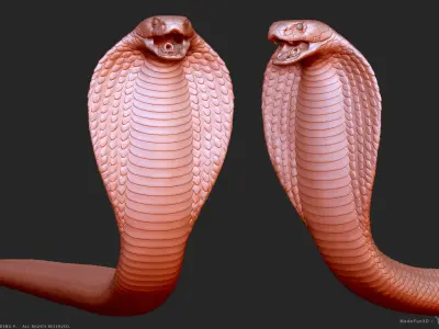 King Cobra Snake - Highpoly Sculpture 3D model