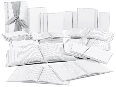 Book Set 2 gift of books 3D model