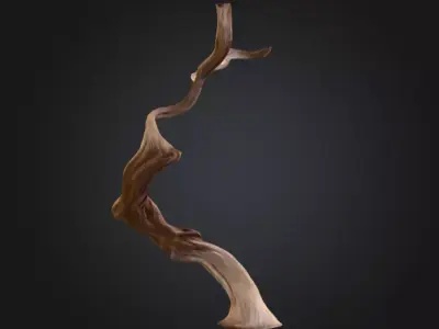 Twisting Elegance Wood Low-poly 3D model