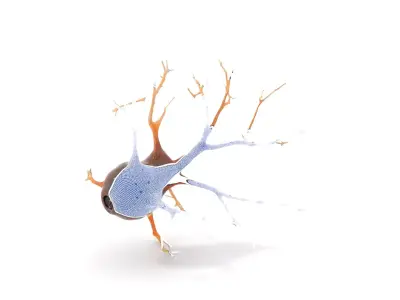 Intricate Neuron Cell model pack Low-poly 3D model