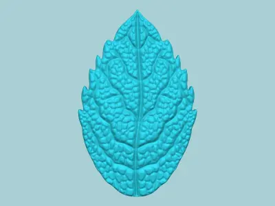 Mint Leaf Mold - Artificial Herb Molding Tool 3D print model