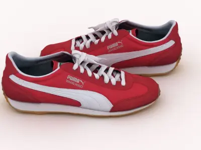 Puma Whirlwind Shoes 3D model