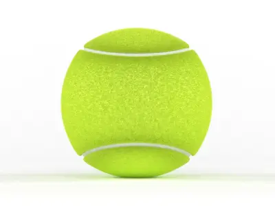 Tennis Ball 3D model