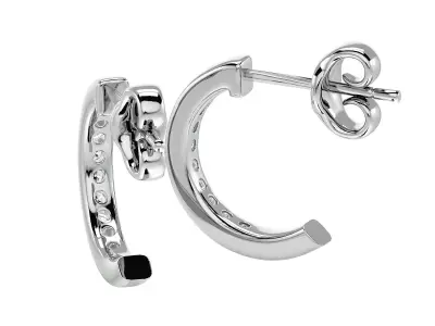 Women earrings model 3D print model