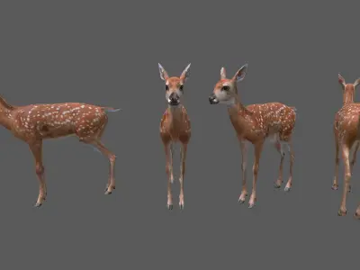 deer baby  Low-poly 3D model